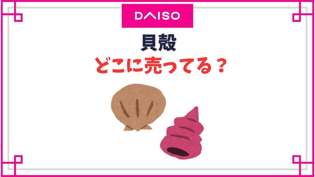 【ダイソー】貝殻の売り場はどこ？シェルミックスって本物？