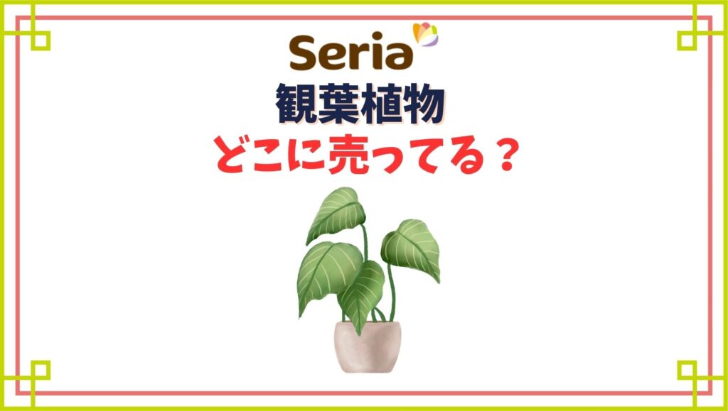セリアに観葉植物は売ってない？ホームセンターとどっちが安い？